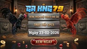 GAKING79 Xem Full Clip Da Ga Truc Tiep CPC5 Ngay 23022026 1
