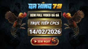 Xem Full Clip Da Ga Truc Tiep CPC5 Ngay 14022026 2