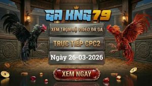 Xem Full Clip Đá Gà Trực Tiếp CPC2 Ngày 26/03/2026