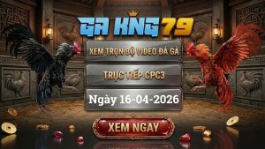 Xem Full Clip Đá Gà Trực Tiếp CPC3 Ngày 16/04/2026