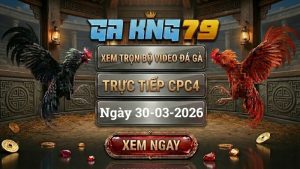 Xem Full Clip Đá Gà Trực Tiếp CPC4 Ngày 30/03/2026