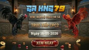 Xem Full Clip Đá Gà Bồ CPC2 Ngày 16/05/2026