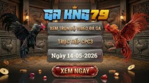 Xem Full Clip Đá Gà Bồ CPC3 Ngày 14/05/2026