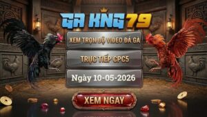 Xem Full Clip Đá Gà Bồ CPC5 Ngày 10/05/2026