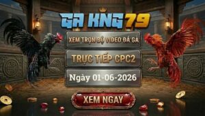 Xem Full Video Đá Gà CPC2 01/06/2026