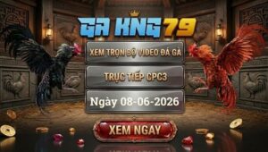 Xem Full Video Đá Gà CPC3 Ngày 08/06/2026