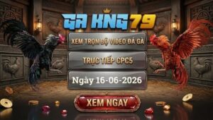 Xem Full Video Đá Gà CPC5 Ngày 16/06/2026 Tại GAKING79
